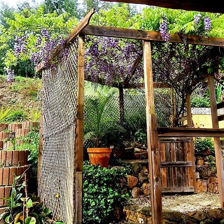 Quinta Do Cabril Apartment Serpins ภายนอก รูปภาพ